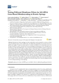 Testing Different Membrane Filters for 16S Rrna Gene-Based Metabarcoding in Karstic Springs