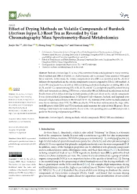 Effect of Drying Methods on Volatile Compounds of Burdock (Arctium Lappa L.) Root Tea As Revealed by Gas Chromatography Mass Spectrometry-Based Metabolomics
