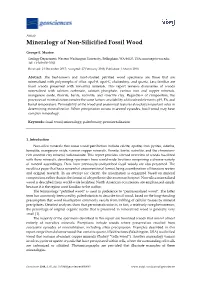 Mineralogy of Non-Silicified Fossil Wood