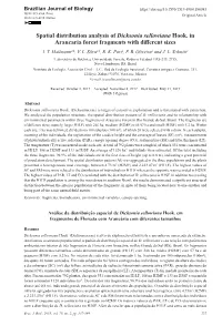 Spatial Distribution Analysis of Dicksonia Sellowiana Hook. in Araucaria Forest Fragments with Different Sizes I