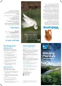Brading Marshes Trail Guide