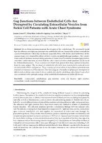 Gap Junctions Between Endothelial Cells Are Disrupted by Circulating Extracellular Vesicles from Sickle Cell Patients with Acute Chest Syndrome
