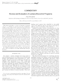 Review and Evaluation of Lantana Biocontrol Programs