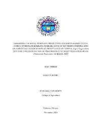 Assessment of Small Ruminant Production System in Hadero Tunto