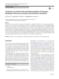 Comparisons of Cadmium Bioaccumulation Potentials and Resistance Physiology of Microsorum Pteropus and Echinodorus Grisebachii