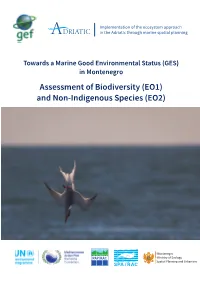 Assessment of Biodiversity (EO1) and Non-Indigenous Species (EO2)