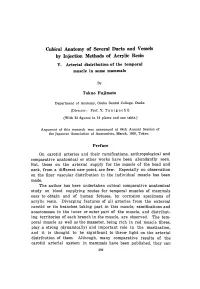 Cubical Anatomy of Several Ducts and Vessels by Injection Methods of Acrylic Resin V