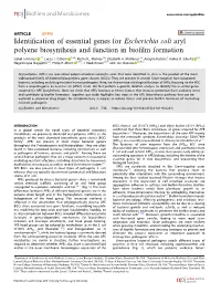 Identification of Essential Genes for Escherichia Coli Aryl Polyene