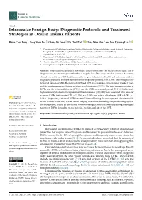 Intraocular Foreign Body: Diagnostic Protocols and Treatment Strategies in Ocular Trauma Patients