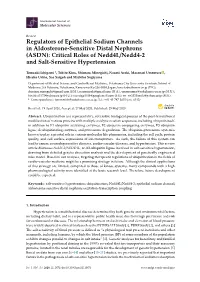 Regulators of Epithelial Sodium Channels in Aldosterone-Sensitive Distal Nephrons (ASDN): Critical Roles of Nedd4l/Nedd4-2 and Salt-Sensitive Hypertension