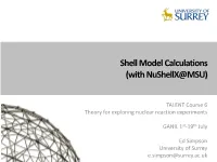 Shell Model Calculations (With Nushellx@MSU)