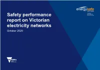 2020 Safety Performance Report on Victorian Electricity Networks