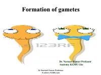 Formation of Gametes [PDF]