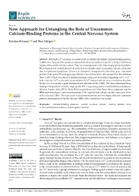 New Approach for Untangling the Role of Uncommon Calcium-Binding Proteins in the Central Nervous System