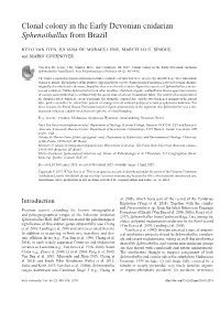Clonal Colony in the Early Devonian Cnidarian Sphenothallus from Brazil