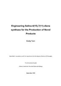 Diene Synthase for the Production of Novel Products