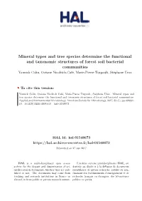 Mineral Types and Tree Species Determine the Functional And