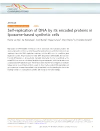 Self-Replication of DNA by Its Encoded Proteins in Liposome-Based Synthetic Cells