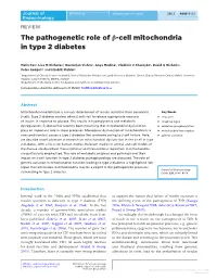 The Pathogenetic Role of Β-Cell Mitochondria in Type 2 Diabetes