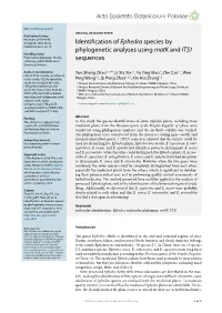 Identification of Ephedra Species by Phylogenetic Analyses Using Matk