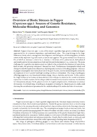 Overview of Biotic Stresses in Pepper (Capsicum Spp.): Sources of Genetic Resistance, Molecular Breeding and Genomics
