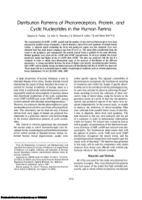 Distribution Patterns of Photoreceptors, Protein, and Cyclic Nucleotides in the Human Retina