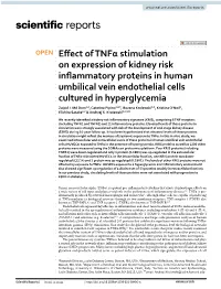 Effect of Tnfα Stimulation on Expression of Kidney Risk