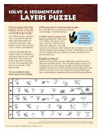 Solve a Sedimentary Layers Puzzle