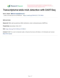 Transcriptome-Wide M a Detection with DART-Seq