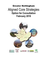 Aligne Core Strategies Option for Consultation February 2010