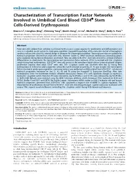 Characterization of Transcription Factor Networks Involved in Umbilical Cord Blood CD34+ Stem Cells-Derived Erythropoiesis