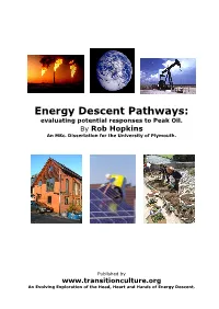 Energy Descent Pathways: Evaluating Potential Responses to Peak Oil