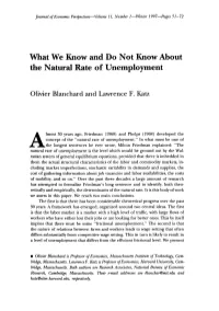 What We Know and Do Not Know About the Natural Rate of Unemployment