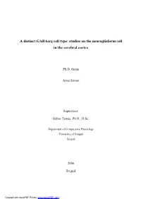 Studies on the Neurogliaform Cell in the Cerebral Cortex