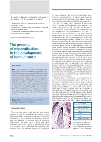 The Process of Mineralisation in the Development of Human Tooth