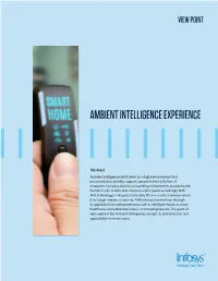 Ambient Intelligence Experience Point of View