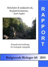 Bygland Kommune, R Aust-Agder a P P O