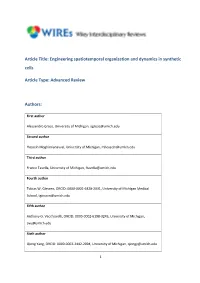 Engineering Spatiotemporal Organization and Dynamics in Synthetic Cells