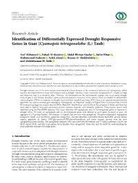 Identification of Differentially Expressed Drought-Responsive Genes in Guar [Cyamopsis Tetragonoloba (L.) Taub]