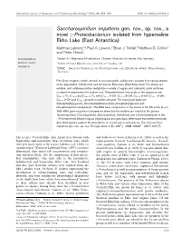 Int J Syst Evol Microbiol 53: 653-660
