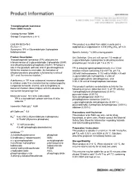 Triosephosphate Isomerase from Rabbit Muscle
