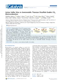 1. Active Sulfur Sites in Semimetallic Titanium Disulﬁde Enable CO2 Electroreduction