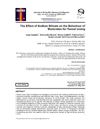 The Effect of Sodium Silicate on the Behaviour of Shotcretes for Tunnel Lining