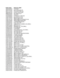 Benthic Infauna Species List