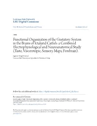 Functional Organization of the Gustatory System in The