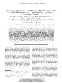 Heterologous Expression and Identification of the Genes Involved