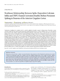 Nonlinear Relationship Between Spike-Dependent Calcium Influx