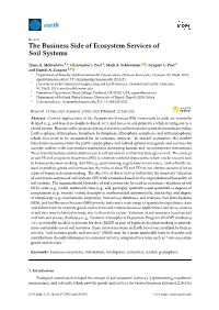 The Business Side of Ecosystem Services of Soil Systems
