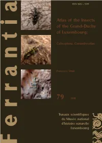 Atlas of the Insects of the Grand-Duchy of Luxembourg