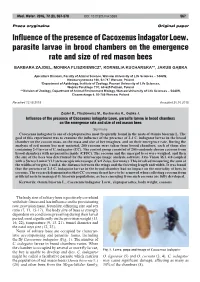 Influence of the Presence of Cacoxenus Indagator Loew